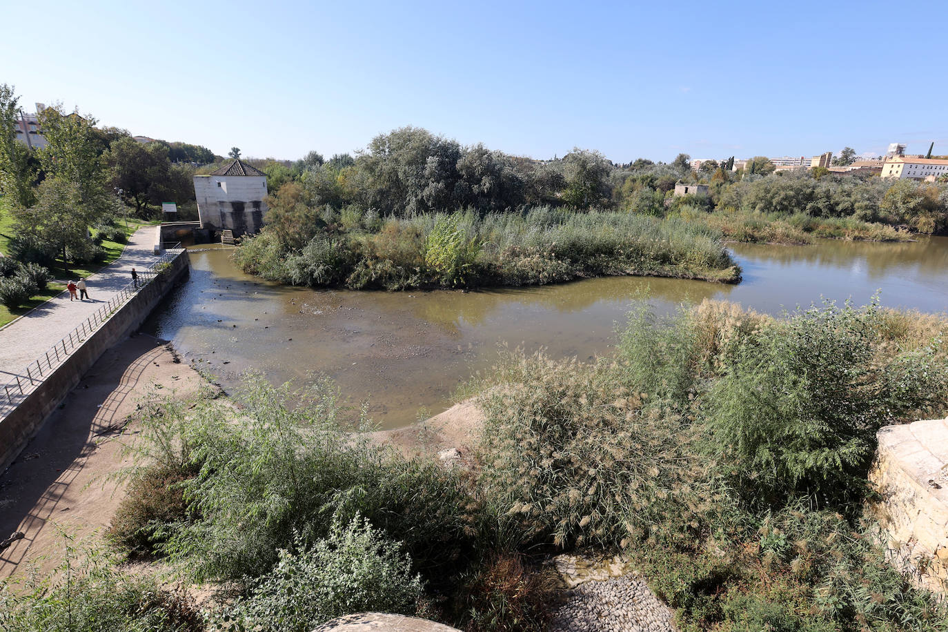 El descuido y la suciedad del Guadalquivir en Córdoba, en imágenes