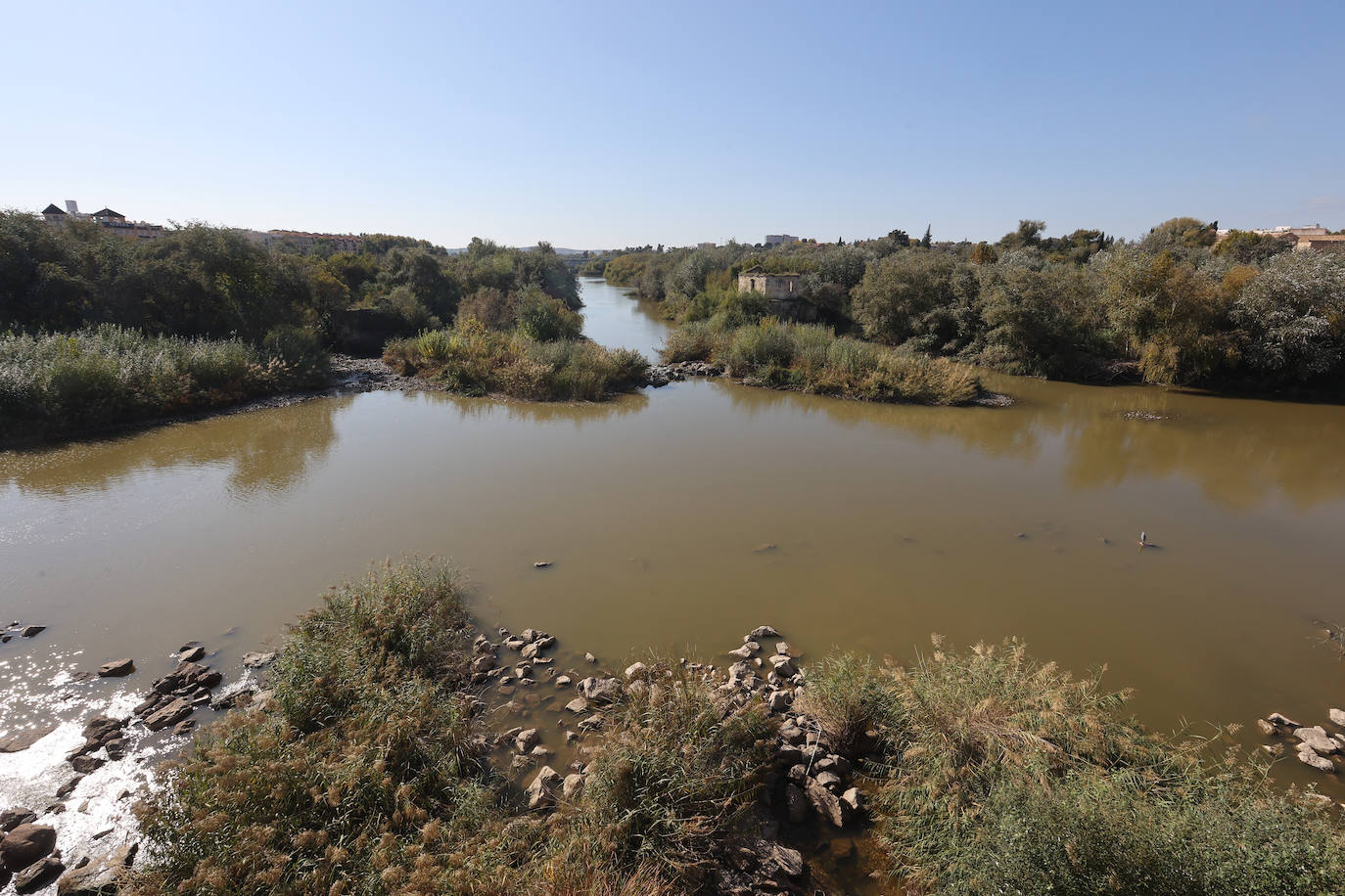 El descuido y la suciedad del Guadalquivir en Córdoba, en imágenes