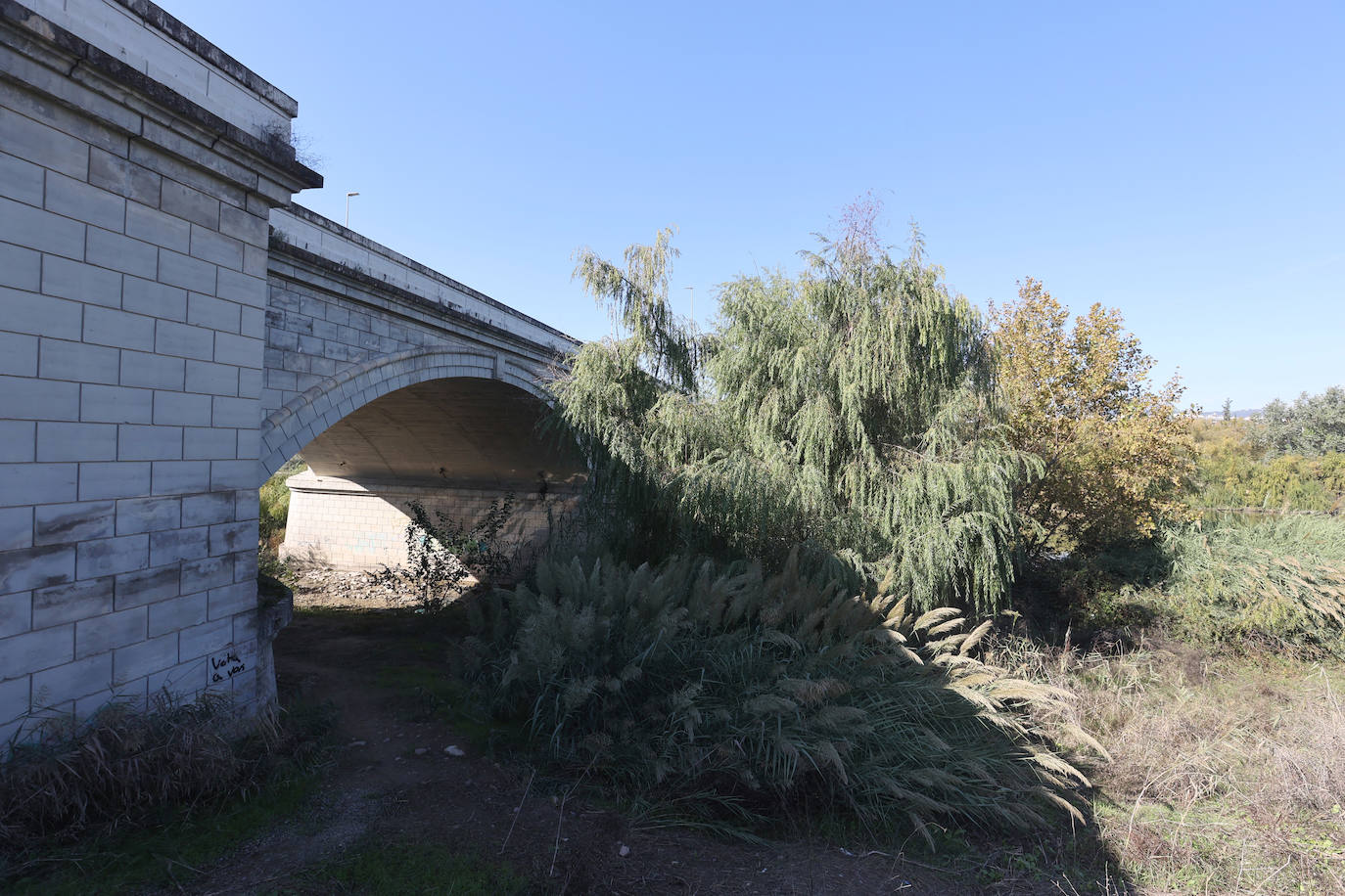 El descuido y la suciedad del Guadalquivir en Córdoba, en imágenes