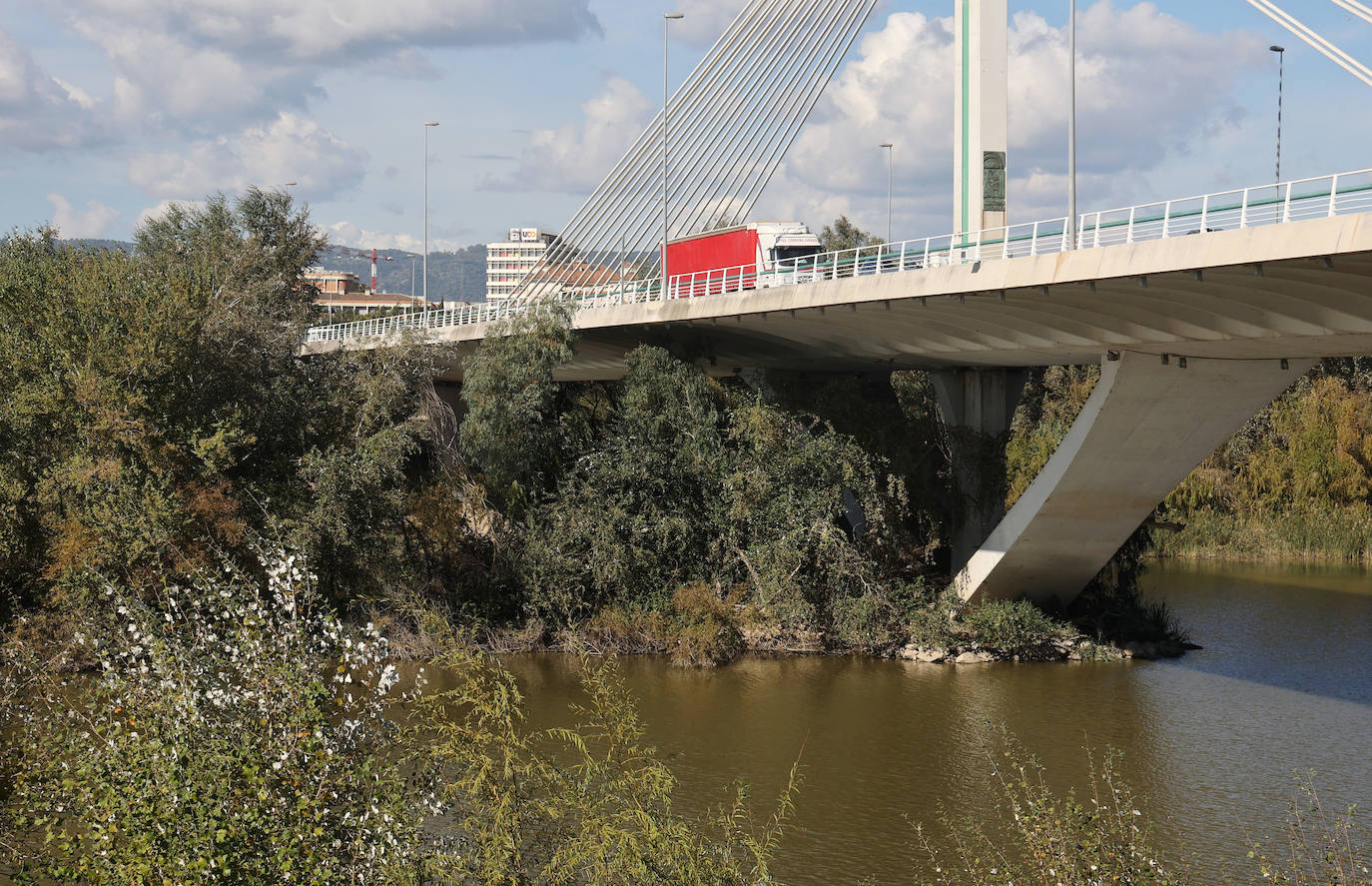 El descuido y la suciedad del Guadalquivir en Córdoba, en imágenes