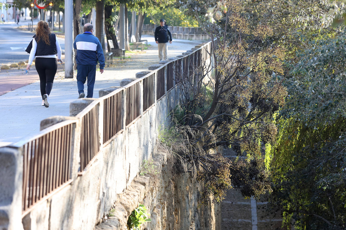 El descuido y la suciedad del Guadalquivir en Córdoba, en imágenes