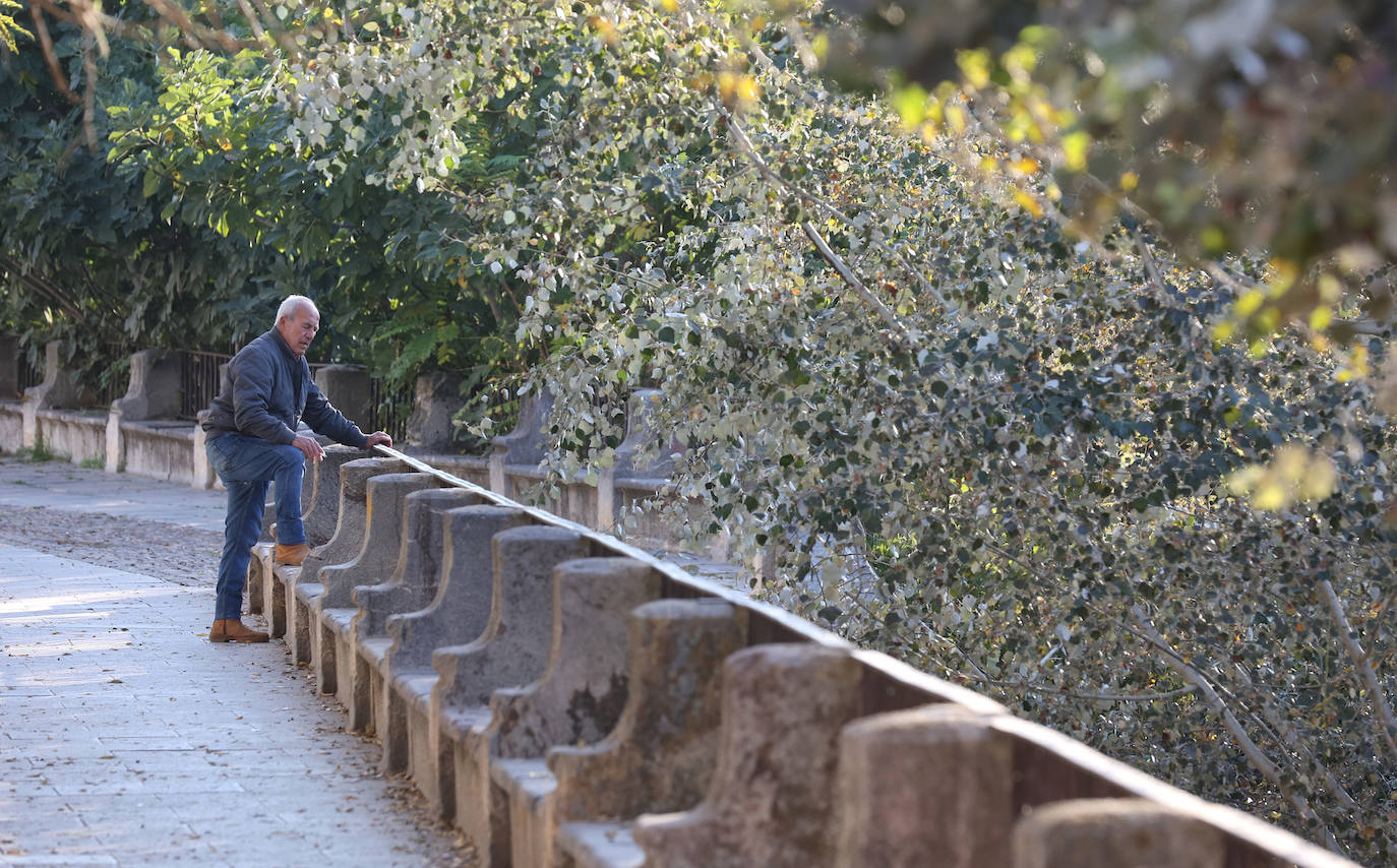 El descuido y la suciedad del Guadalquivir en Córdoba, en imágenes