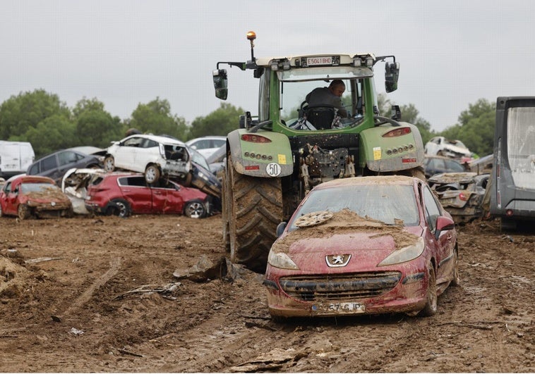 agricultor-tractor-dana-RnvpMtfvGN102DnyklxiAcJ-758x531@diario_abc.jpg