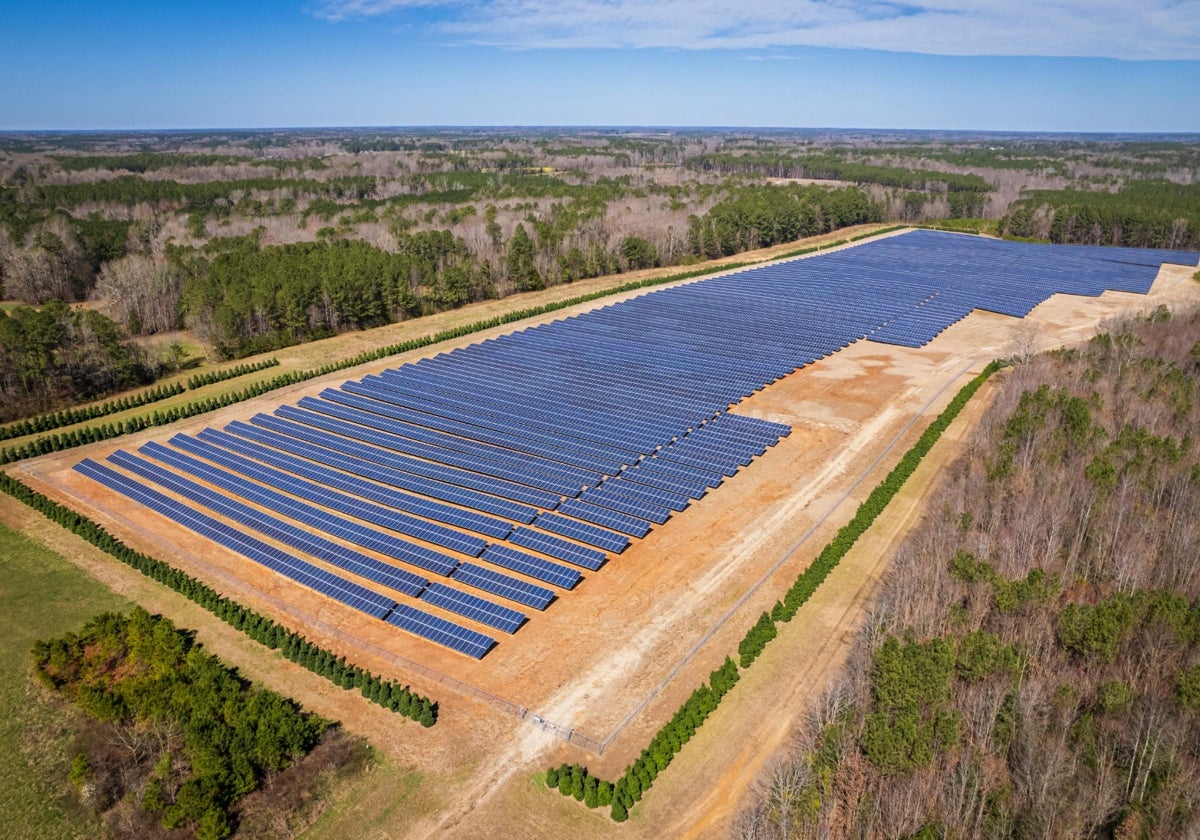Panorámica de un huerto solar con la potencia que quiere implatarse en Córdoba