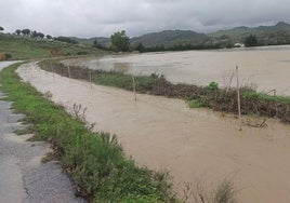 Dana en Cádiz: Los Bomberos rescatan a un grupo de niños de un centro escolar de Jimena de la Frontera inundado por una fuerte tromba de agua