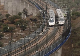 Renfe restablece el servicio de AVE y Avant en Málaga tras el paso de la DANA