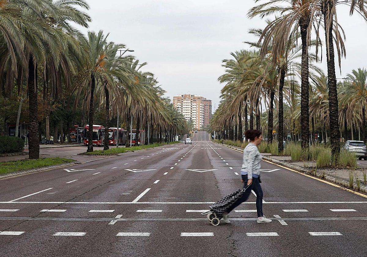 Imagen de una de las avenidas de Valencia este jueves 14 de noviembre