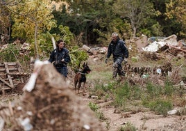 Hallan un cuerpo en un descampado de Sedaví durante la búsqueda de desaparecidos por la DANA en Valencia