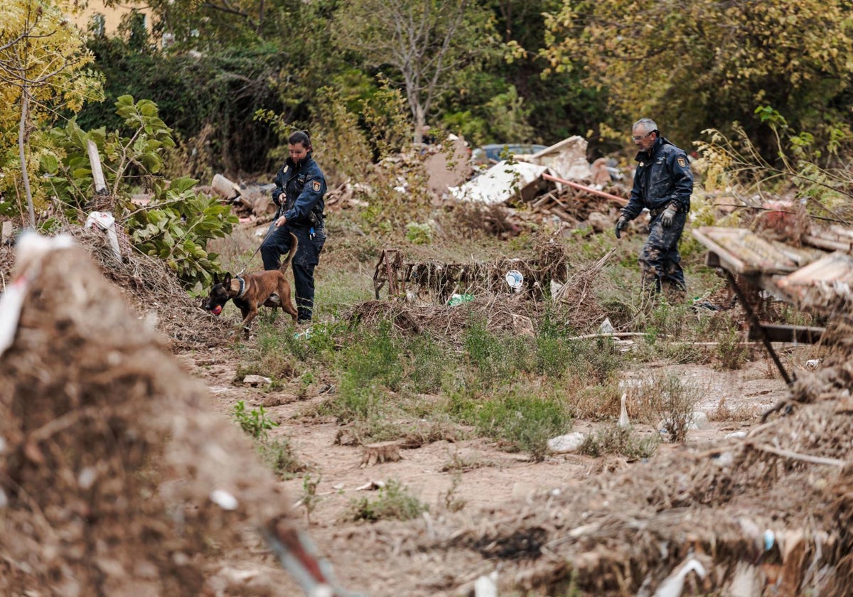 Agentes de la Policía participan en la búsqueda de víctimas por la DANA en Sedaví