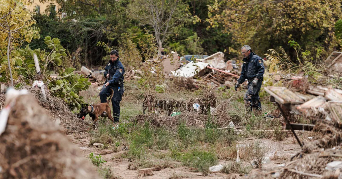 Casas, garajes, acequias y playas: los lugares donde hallaron a las 218 víctimas de la DANA en Valencia