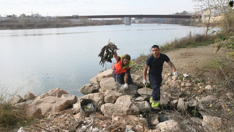 La limpieza del río Guadalquivir a su paso por Córdoba: unos por otros, y el río sin &#039;barrer&#039;