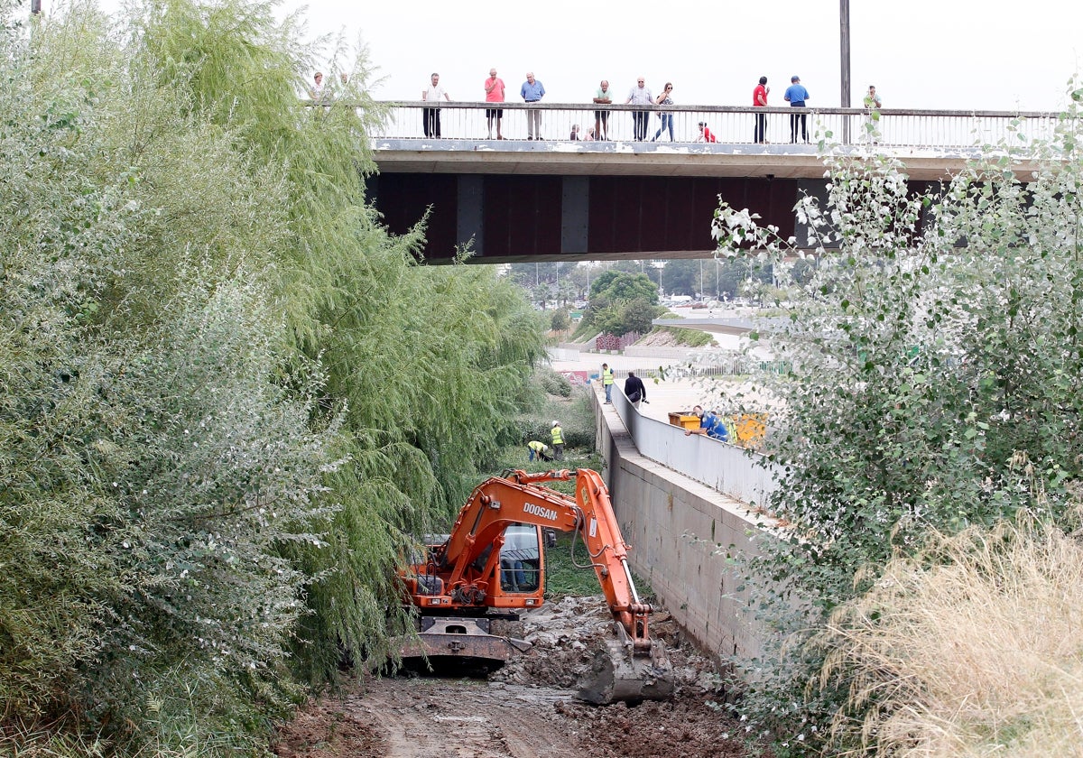 La limpieza del río Guadalquivir a su paso por Córdoba: unos por otros, y el río sin &#039;barrer&#039;