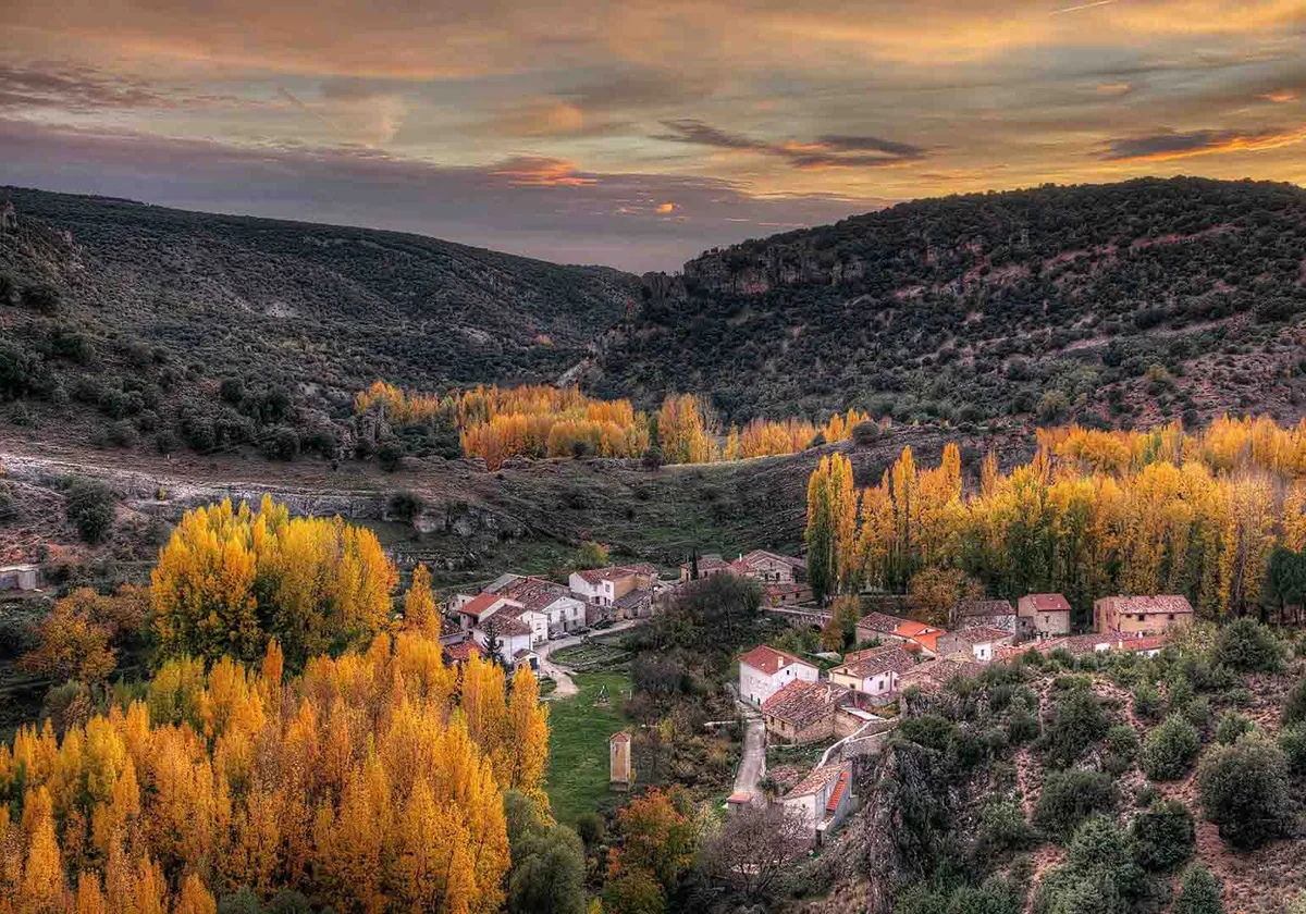 Setas y policromía en el paisaje, oferta de la Sierra Norte de Guadalajara para el otoño