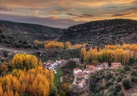 Setas y policromía en el paisaje, oferta de la Sierra Norte de Guadalajara para el otoño