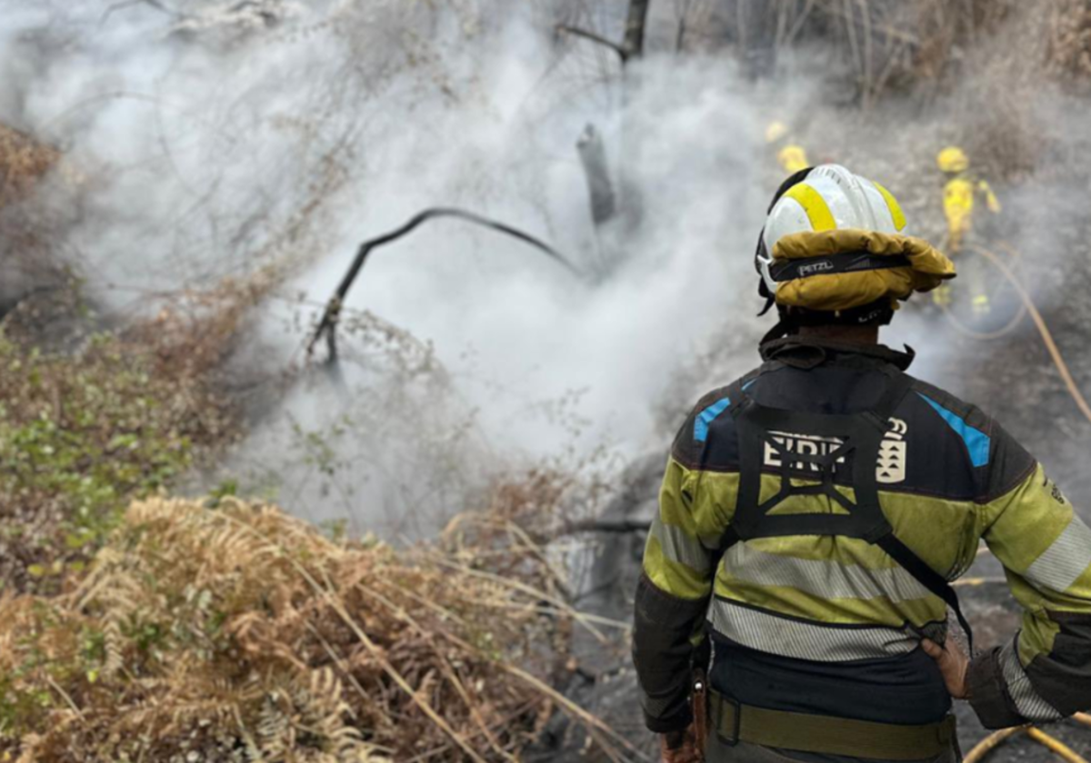 Trabajos de extinción y remate del incendio forestal del pasado verano en Tenrife