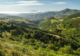 Los mejores paisajes del otoño están en esta provincia de Galicia: cinco lugares imprescindibles