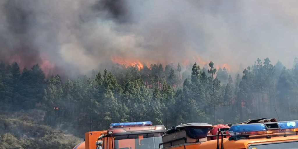 Gran Canaria afronta un fin de semana con riesgo de incendios y temperaturas que podrían superar los 40 grados