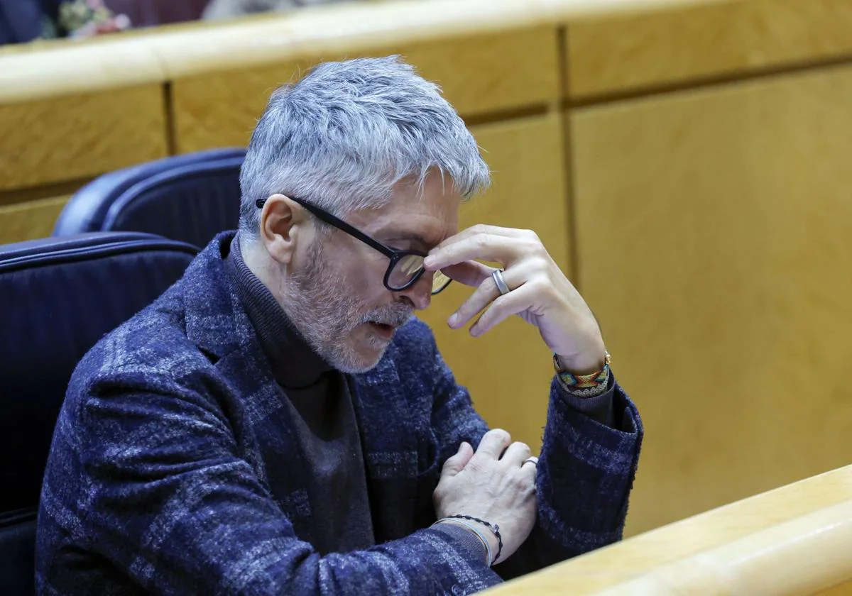 Fernando Grande-Marlaska, ministro del Interior, en el Senado