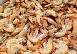 Un pescadero de Málaga advierte sobre por qué las gambas se ponen negras: «Se produce una reacción...»