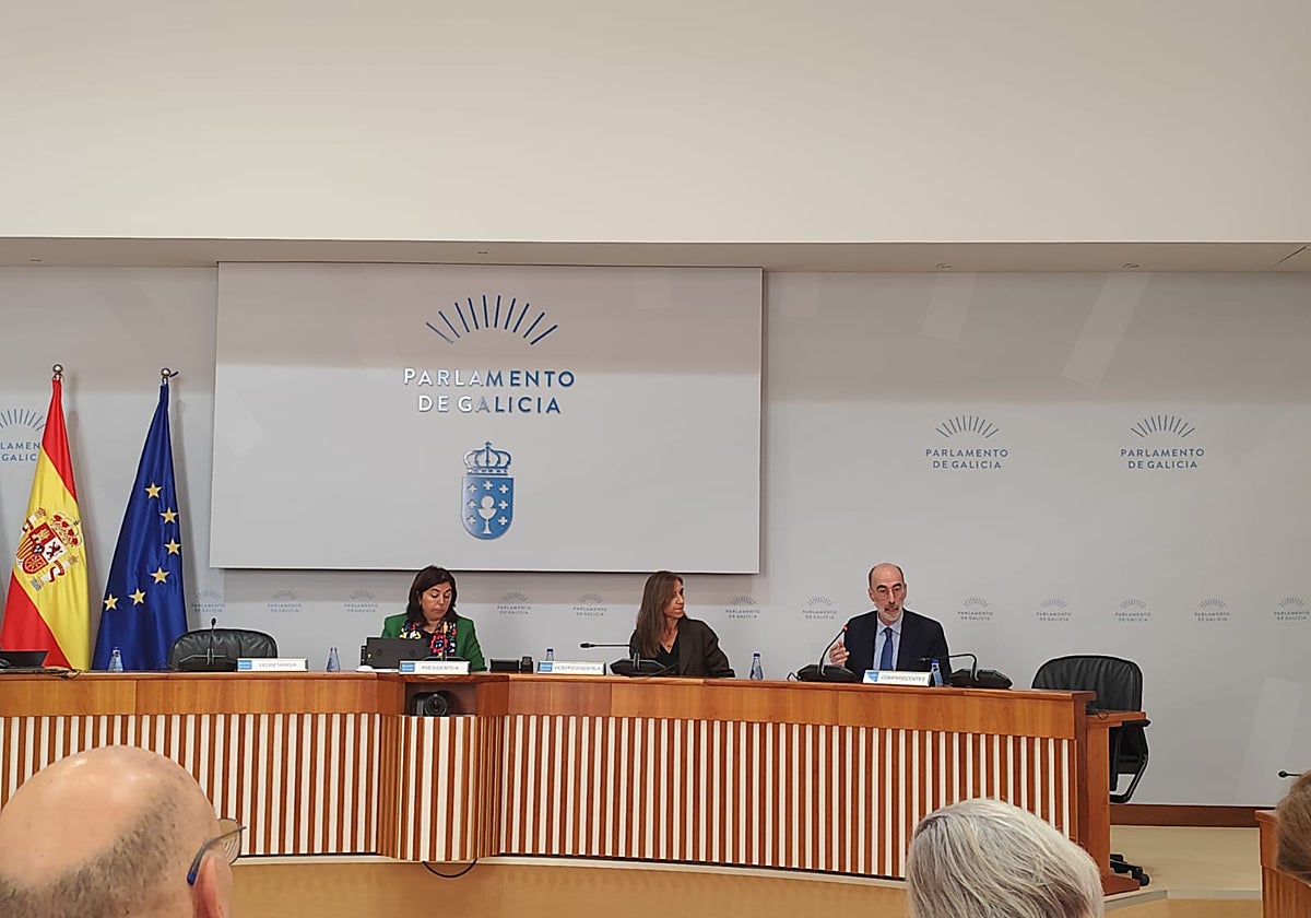 Almuiña en su comparecencia este martes en la Cámara gallega
