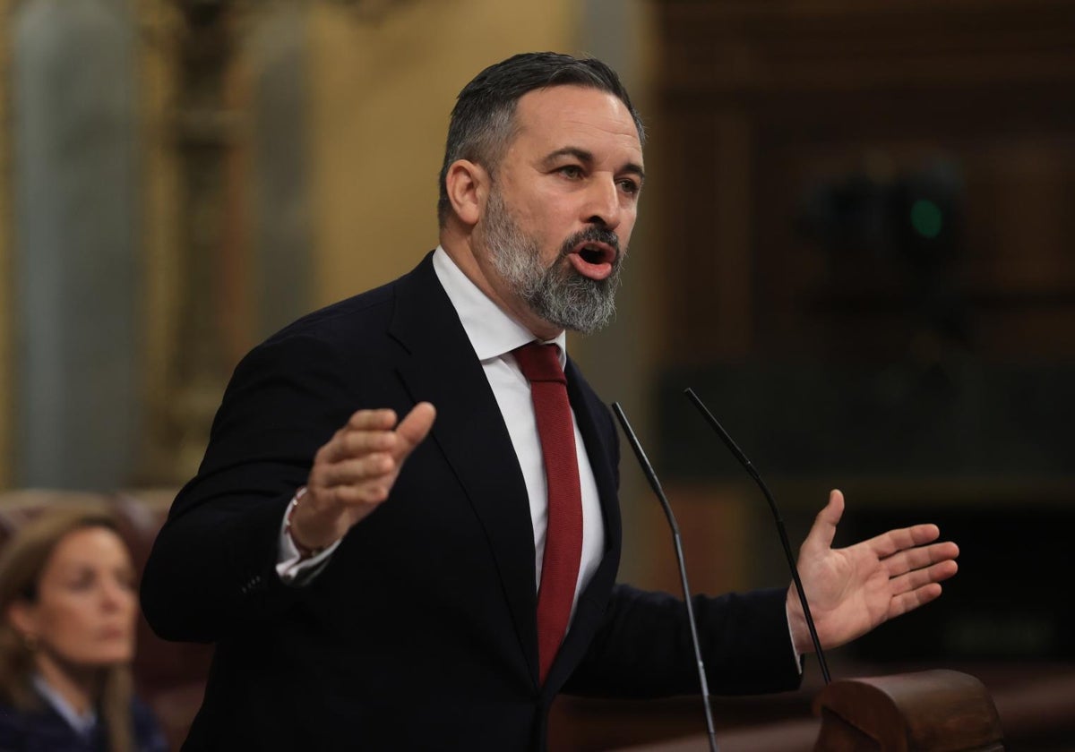 El líder de Vox, Santiago Abascal, durante su intervención de este miércoles en el Congreso