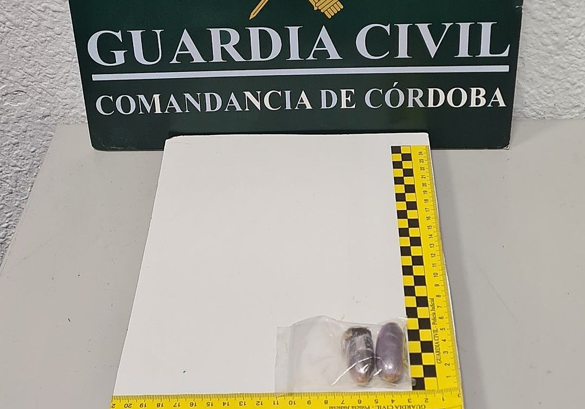 La Guardia Civil se ha incautado de dos bellotas de hachís en el centro penitenciario de Alcolea