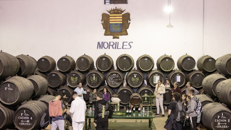 Visitantes en una bodega del marco Montilla-Moriles en la zona de barricas