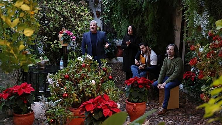 Navidad en los Patios de Córdoba 2024: rutas, fechas, horarios y actividades