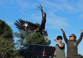 Devuelven a su medio natural a cinco rapaces recuperadas en el CERI de Sevilleja de la Jara, dos nacidas en cautividad