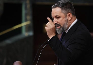 Lo que Abascal quiere no es que no se acojan menas, es que se retornen