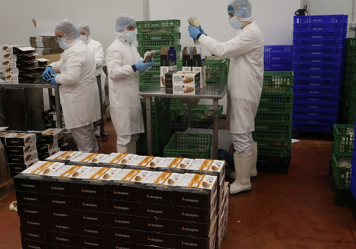 Trabajadores en la nueva planta de Cascajares en Dueñas (Palencia)