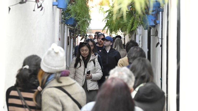 La calleja de la Flores, a tope