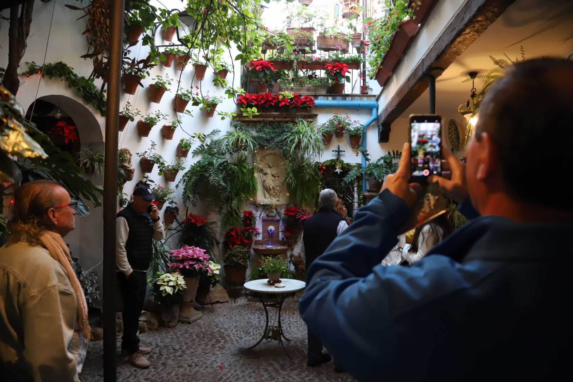 Los Patios de Córdoba abren sus puertas en Navidad, en imágenes