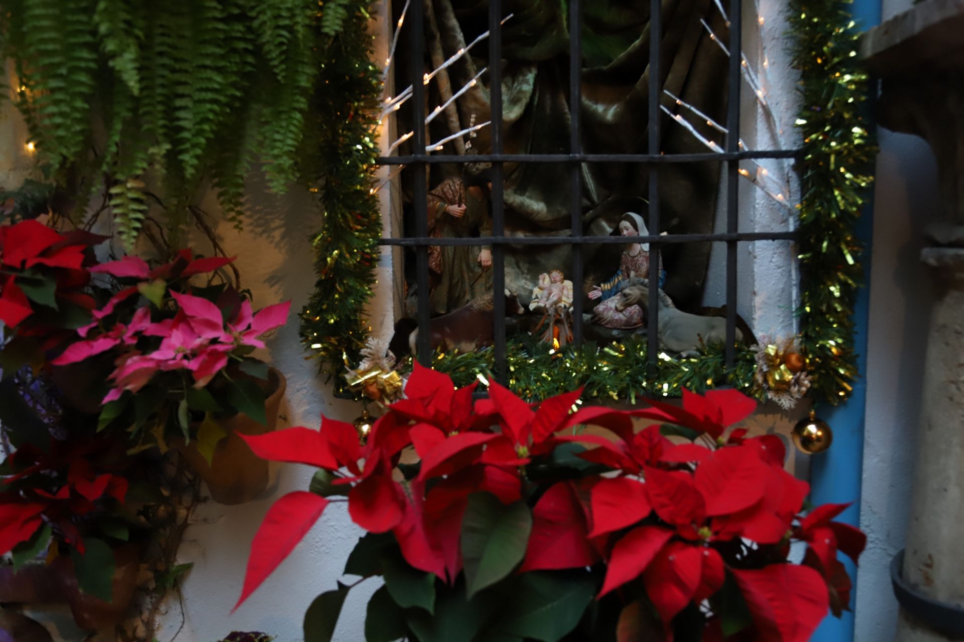 Los Patios de Córdoba abren sus puertas en Navidad, en imágenes