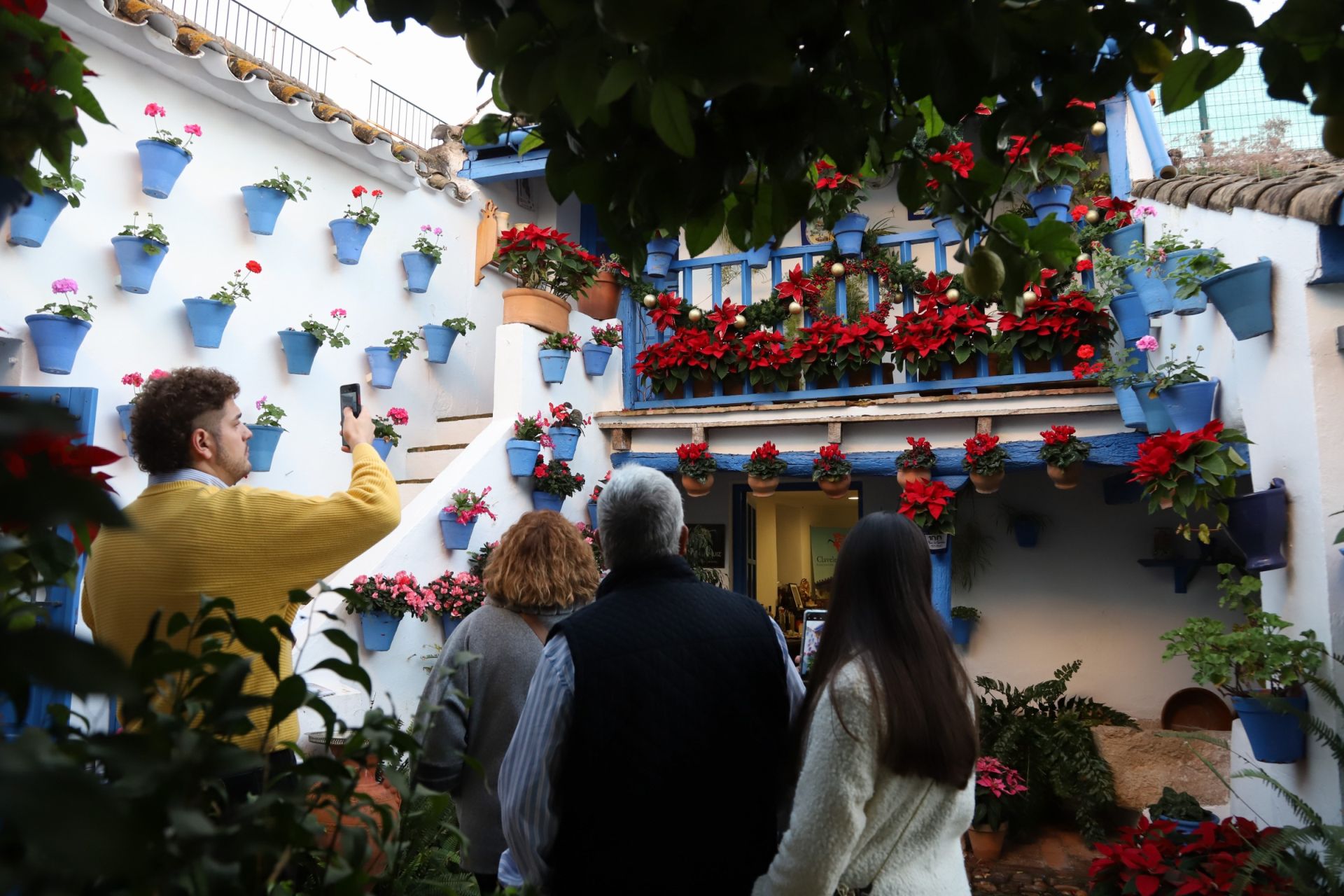 Los Patios de Córdoba abren sus puertas en Navidad, en imágenes