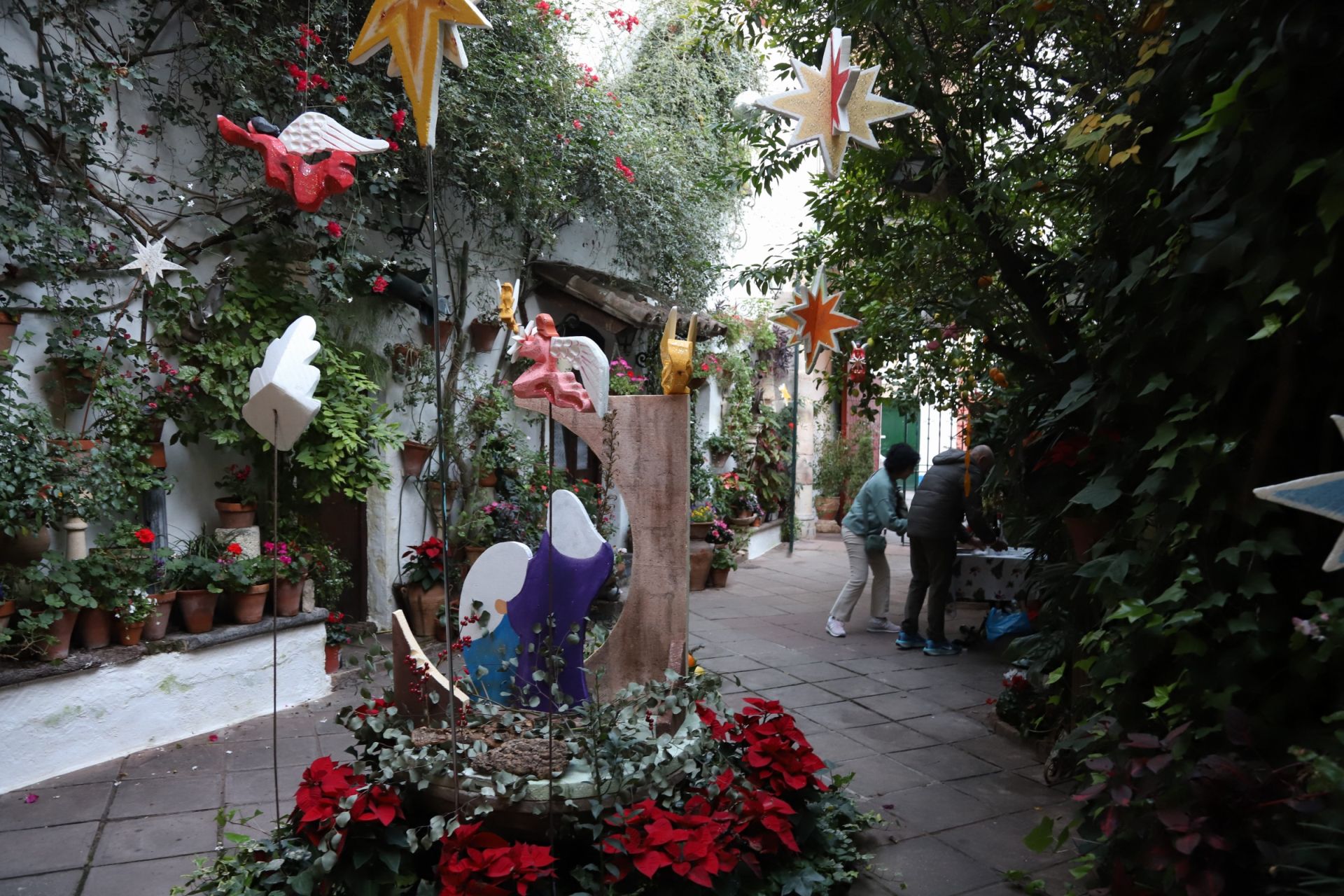Los Patios de Córdoba abren sus puertas en Navidad, en imágenes