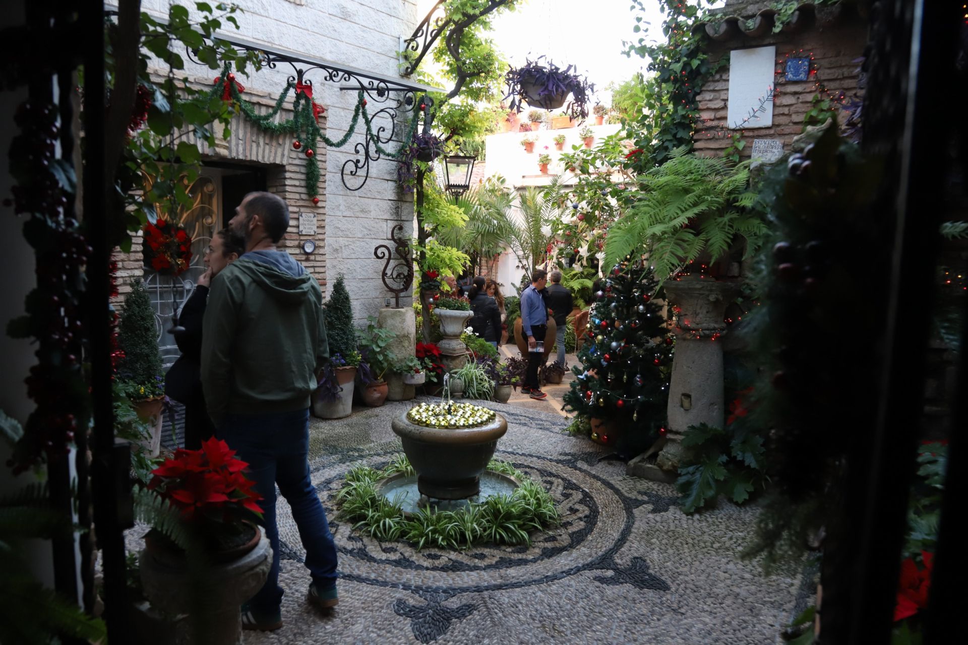 Los Patios de Córdoba abren sus puertas en Navidad, en imágenes