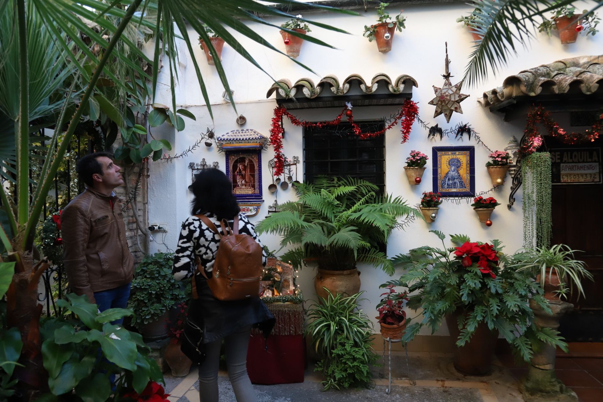 Los Patios de Córdoba abren sus puertas en Navidad, en imágenes