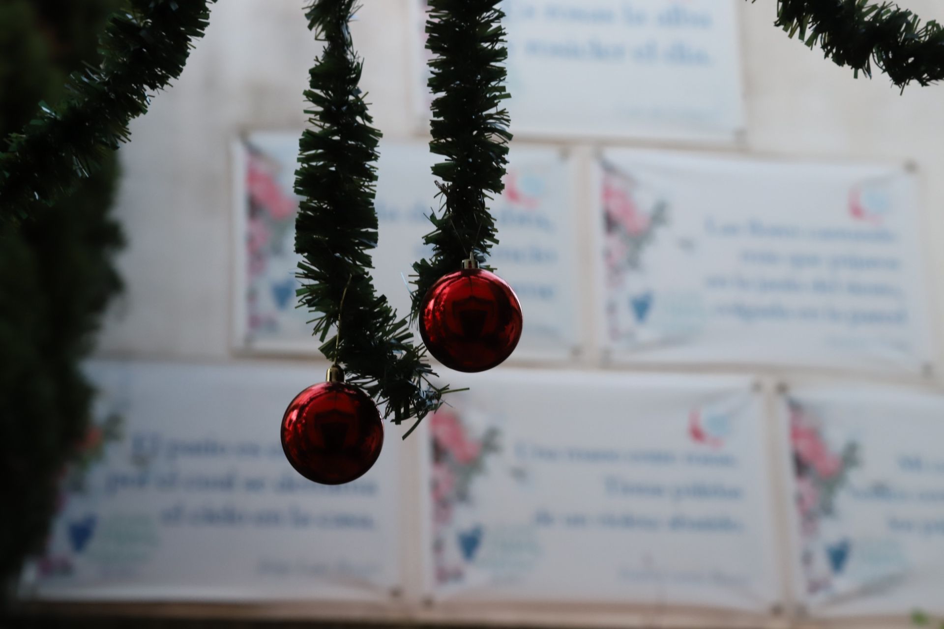 Los Patios de Córdoba abren sus puertas en Navidad, en imágenes