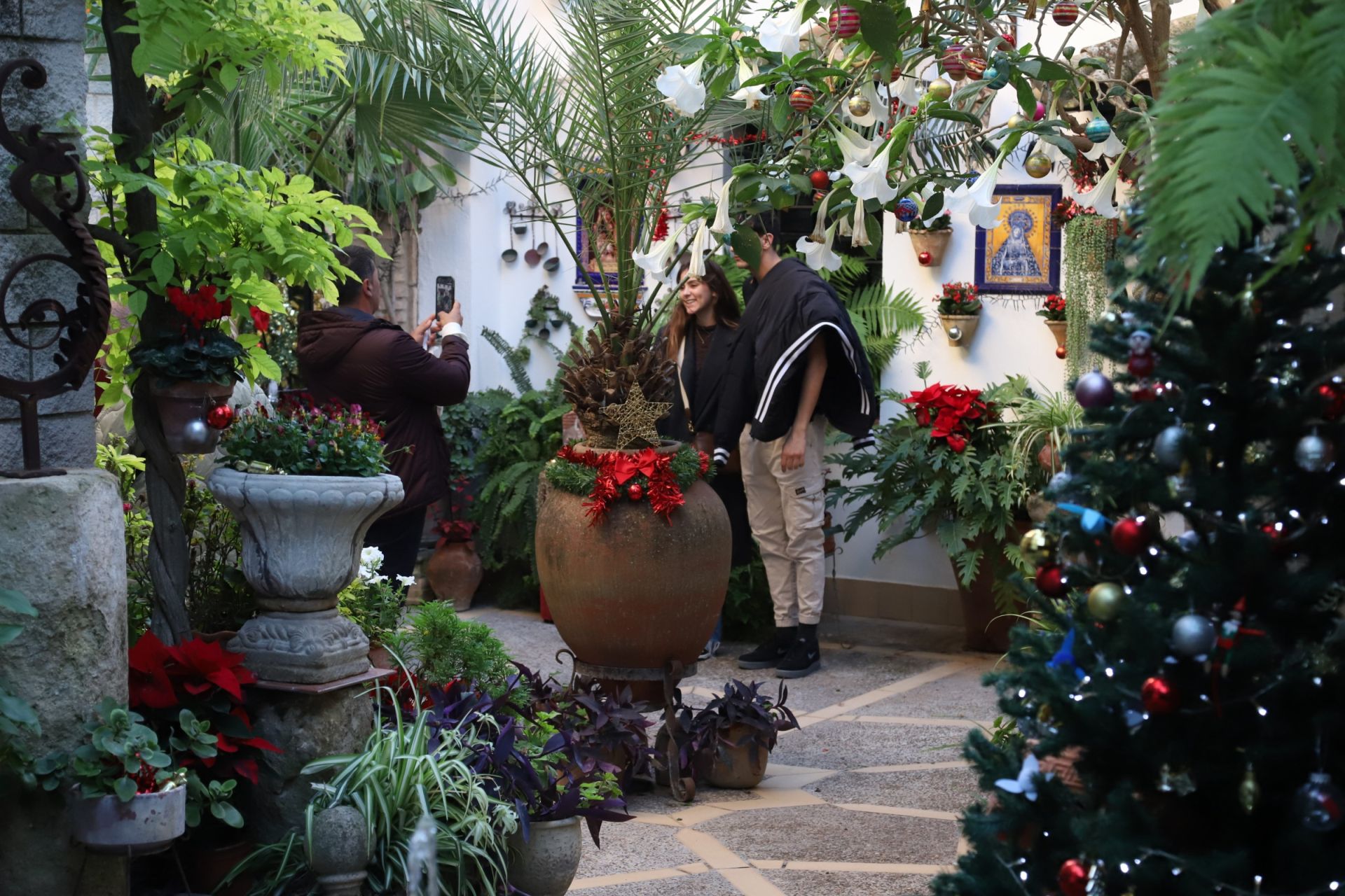 Los Patios de Córdoba abren sus puertas en Navidad, en imágenes