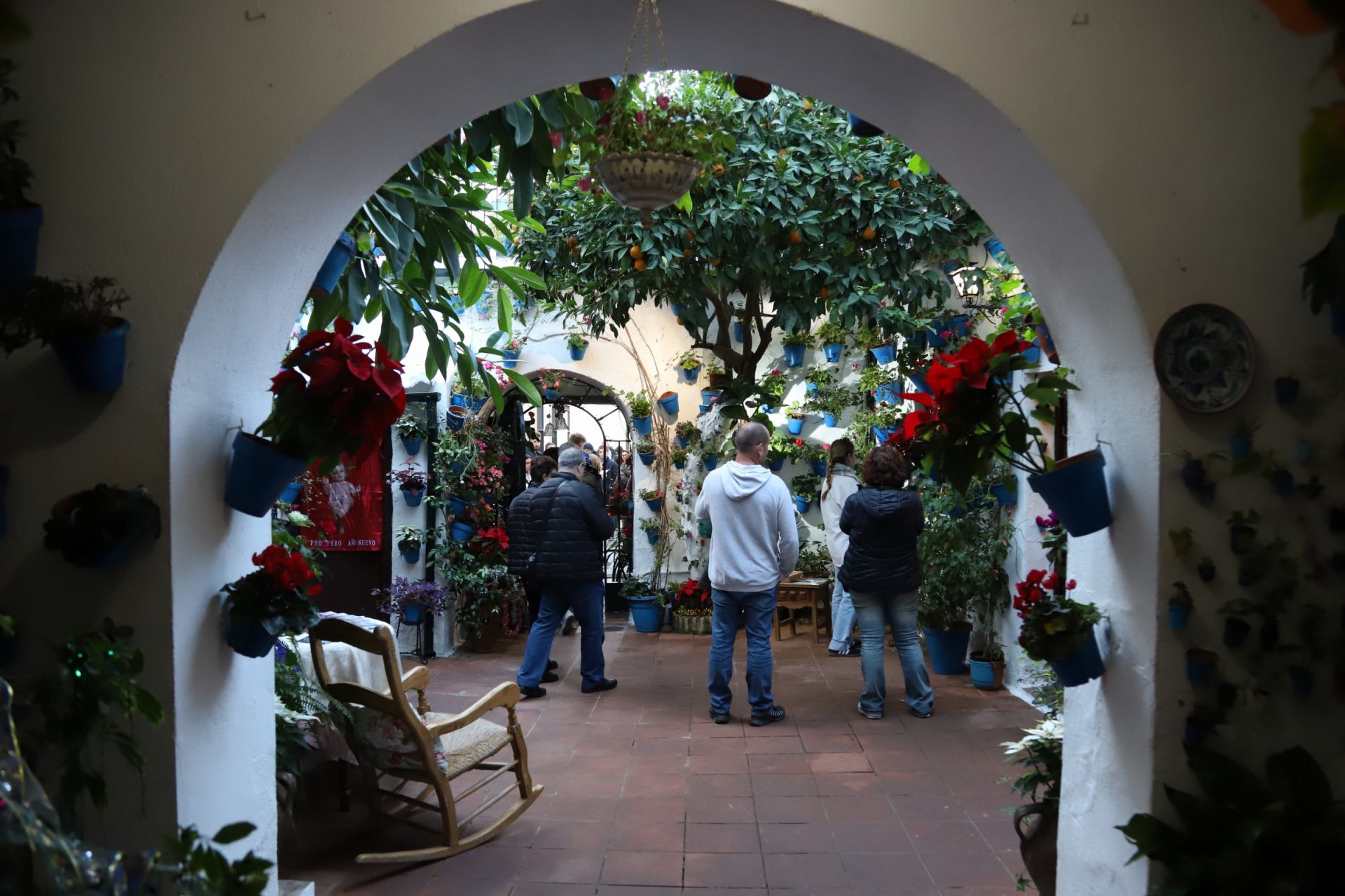 Los Patios de Córdoba abren sus puertas en Navidad, en imágenes