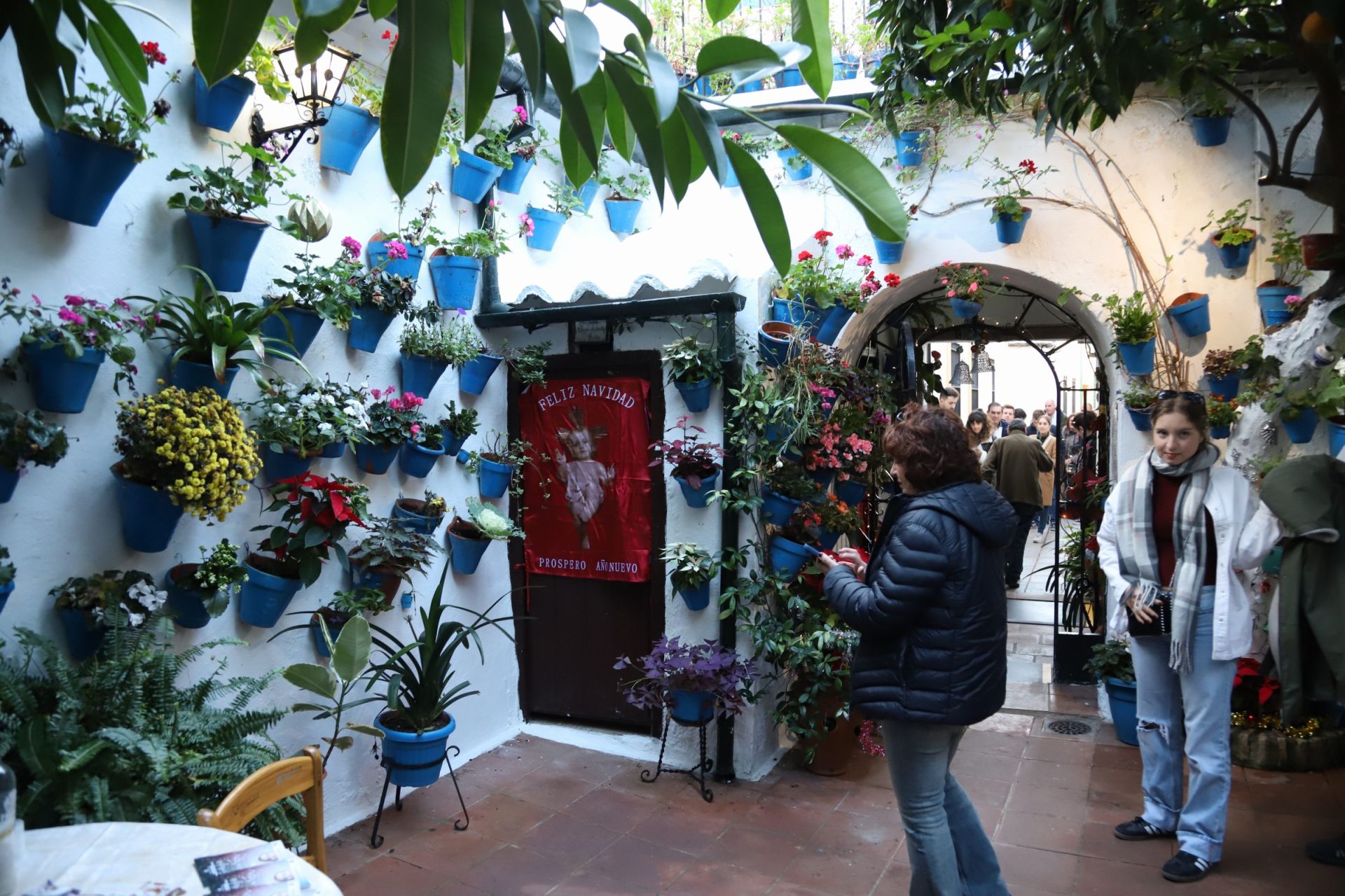 Los Patios de Córdoba abren sus puertas en Navidad, en imágenes