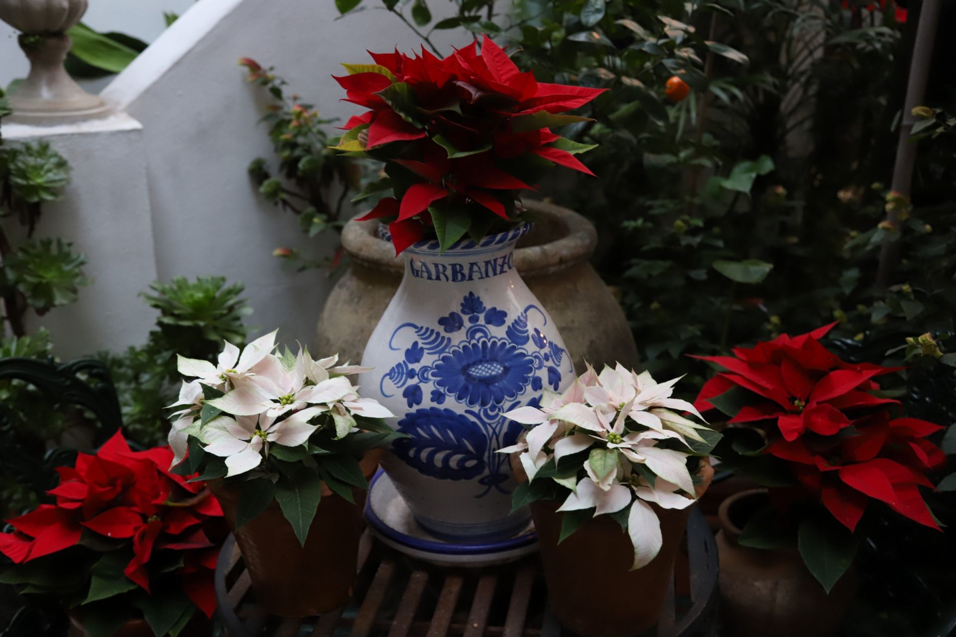 Los Patios de Córdoba abren sus puertas en Navidad, en imágenes