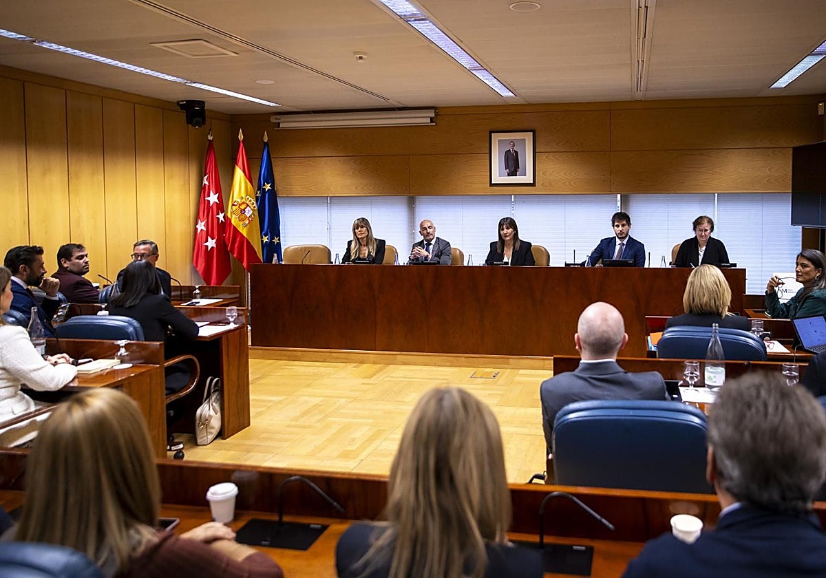 Primera jornada de la comisión de investigación en la Asamblea, con Begoña Gómez como compareciente