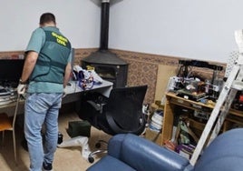 Detienen a un pedófilo en un pueblo de Almería que contactaba con menores a través de videojuegos online