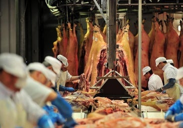Las exportaciones del sector cárnico de la región crecen un 5,3% en los primeros nueve meses del año
