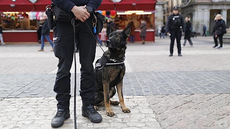 Guía Canino, ayer en la Plaza Mayot