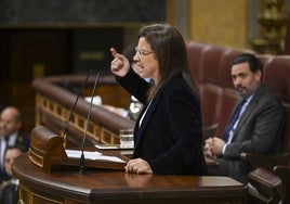 La reforma de la ley de Seguridad Ciudadana salva un nuevo escollo pero inicia un complicado camino parlamentario