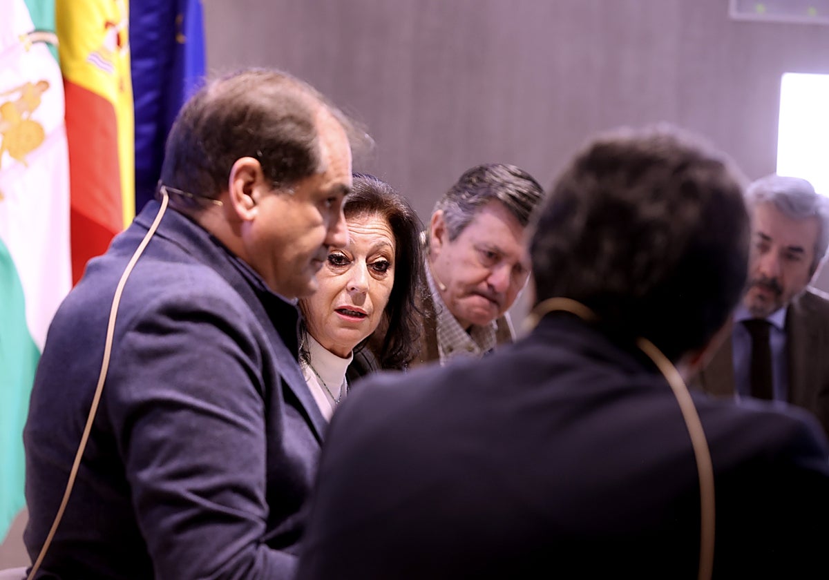 La presidenta de Construcor, María Dolores Jiménez, durante el debate