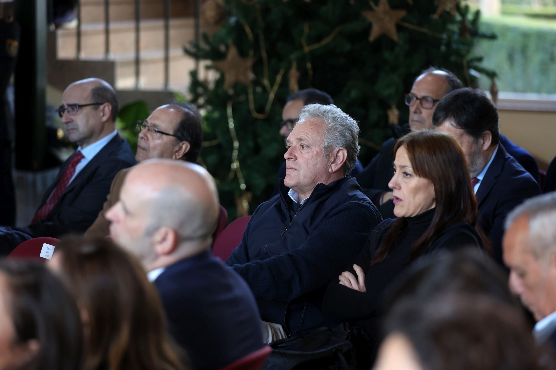 El orgullo de los premiados por el día de la Constitución, en imágenes